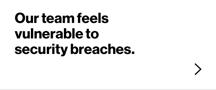 Our team feels vulnerable to security breaches.